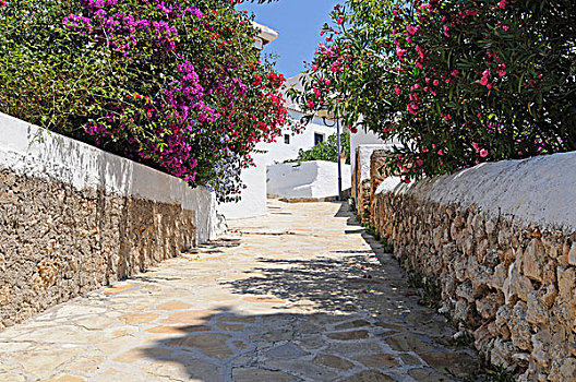狭窄街道,花,弥撒,山,伊比萨岛,巴利阿里群岛,西班牙,欧洲