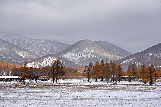 阿尔山雪景