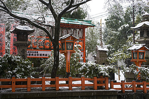 日本,京都,神祠,日本神道,雪中,红灯笼