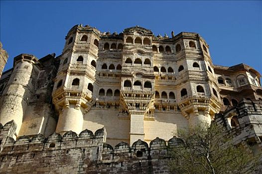 仰视,巨大,墙壁,堡垒,拉贾斯坦邦,印度