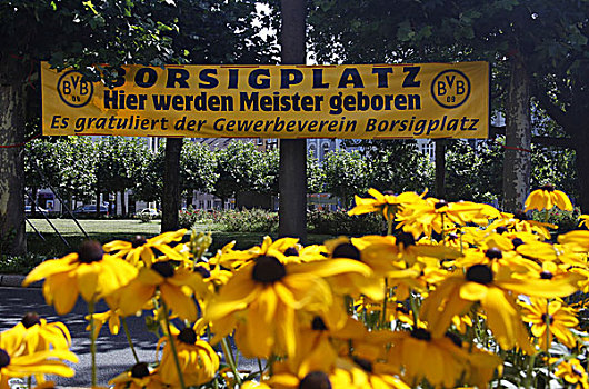 花,旗帜,周年纪念,球,俱乐部,多特蒙德,北莱茵威斯特伐利亚,德国,欧洲