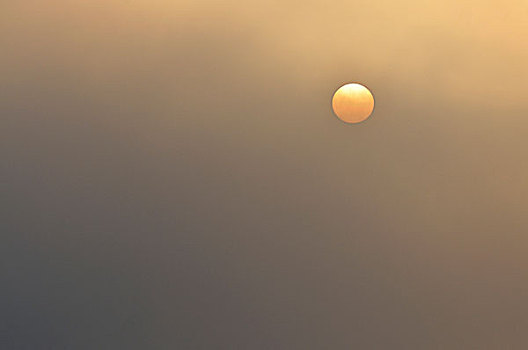 太阳,日出,雾,国家公园,梅克伦堡前波莫瑞州,德国,欧洲