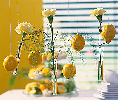 装饰,概念,柠檬,黄色,康乃馨,线