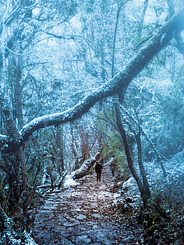 尼泊尔安娜普尔那雪山登山