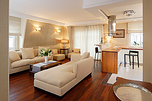 经典,乳白色,沙发,异域风情,木头,木地板,厨房,区域,背景,传统,室内