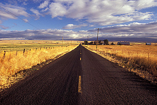 道路,通过,风景,山谷,华盛顿,美国