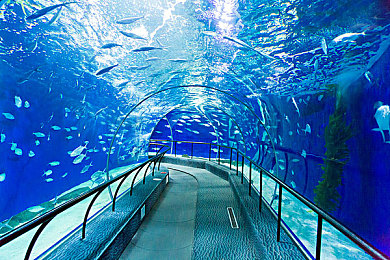 海底隧道图片