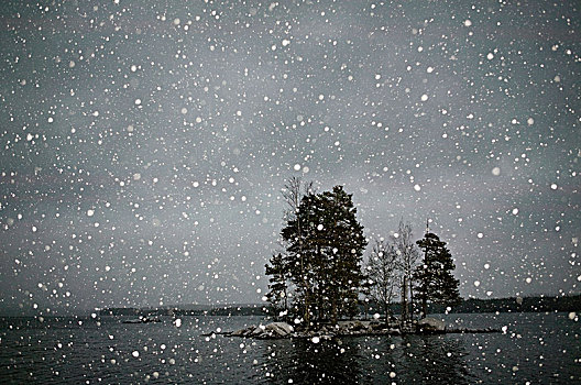 小岛,湖,下雪,瑞典