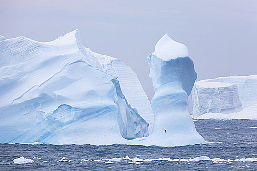 扁平,冰山,海洋,南极