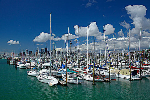 码头,奥克兰,北岛,新西兰