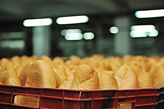面包,糕点店,食物,工厂,制作,新鲜,商品