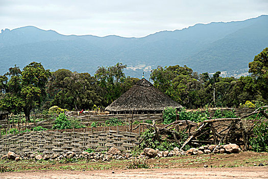 传统,圆,建造,围绕,缠结,竹子,栅栏,靠近,大捆,山,区域,埃塞俄比亚,非洲