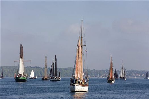 传统,帆船,开端,朗姆酒,赛舟会,2008年,峡湾,弗伦斯堡,石荷州,德国,欧洲