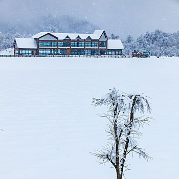 西岭雪山大雪的美丽风景