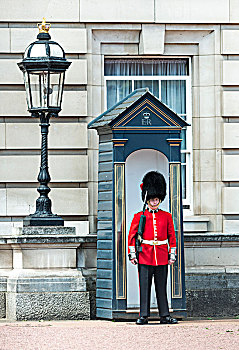 保安,皇家卫兵,熊皮,帽,白金汉宫,伦敦,英格兰,英国