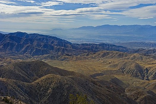 山,小,山峦,约书亚树国家公园,加利福尼亚,美国