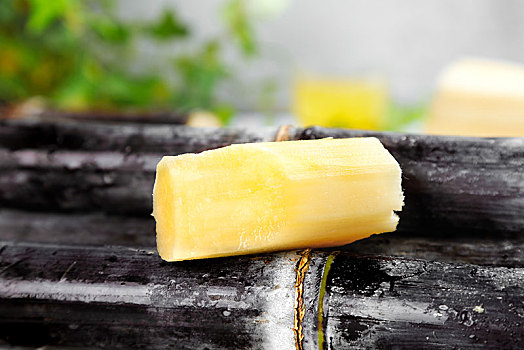 一堆新鲜的甘蔗