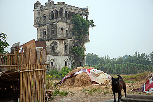 荒芜,乡村,农舍,前景,广东,中国