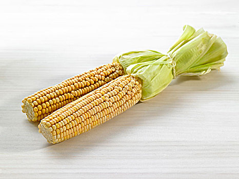 玉米,玉米棒,白色背景