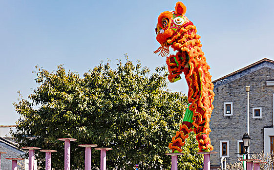 舞狮,醒狮,庆典,中国文化