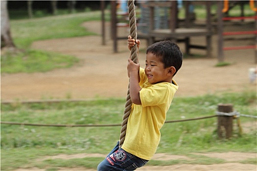 日本人,男孩,玩,人猿泰山,绳索,3岁