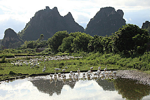 阳江,阳春市