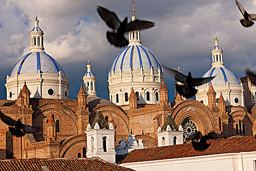 鸽子,半空,圆顶,19世纪,大教堂,背景