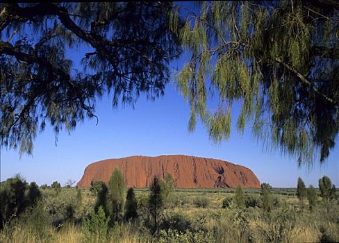艾尔斯巨石,乌卢鲁巨石,框架,枝条,北领地州,澳大利亚