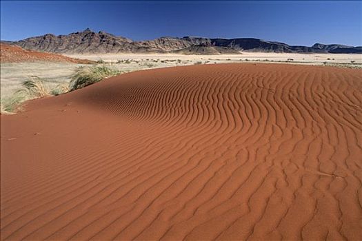 红色,沙丘,山峦,背景,纳米比诺克陆夫国家公园,纳米比亚,非洲