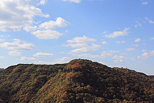 山,树木,秋天