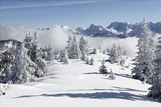 冬季风景,山,靠近,加米施帕藤基兴,背影,山脉,陆地,上巴伐利亚,巴伐利亚,德国