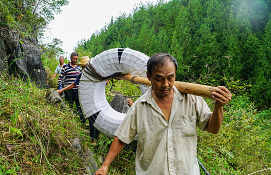 重庆酉阳,微心愿,解决,大难题