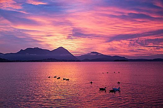 粉红天空,日落,马焦雷湖,伦巴第,意大利
