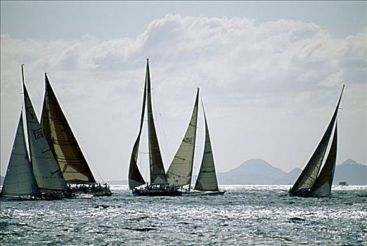 帆船,参加,岛屿,加勒比海