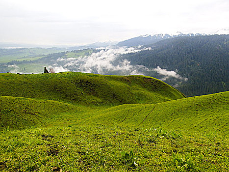 云雾天山