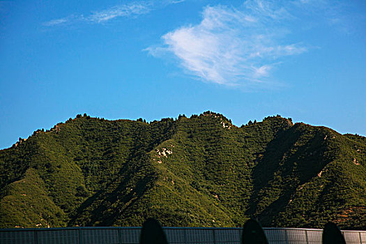 长满绿色植物的青山