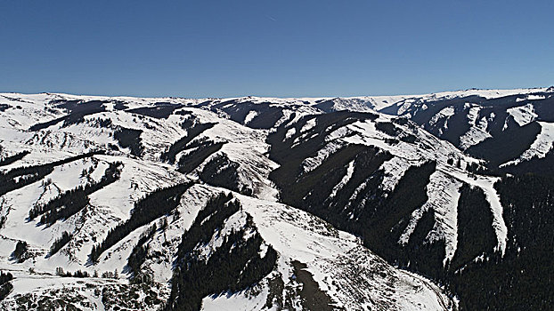 暮春一场雪,美翻东天山