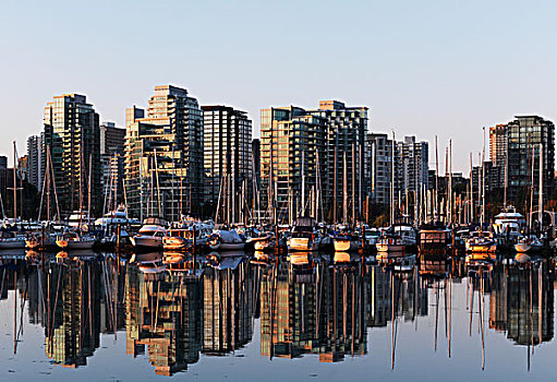 温哥华,城市天际线,码头,前景,不列颠哥伦比亚省,加拿大