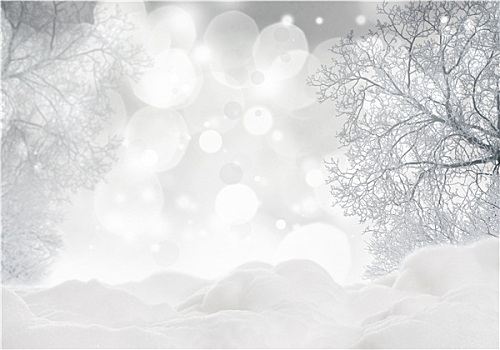 圣诞节,背景,雪,树