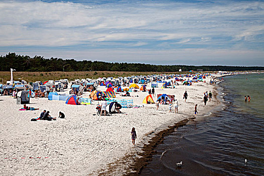 海滩,波罗的海,胜地,费施兰德-达斯-茨因斯特,半岛,梅克伦堡前波莫瑞州,德国,欧洲