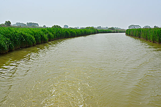 黄河口生态旅游区景色