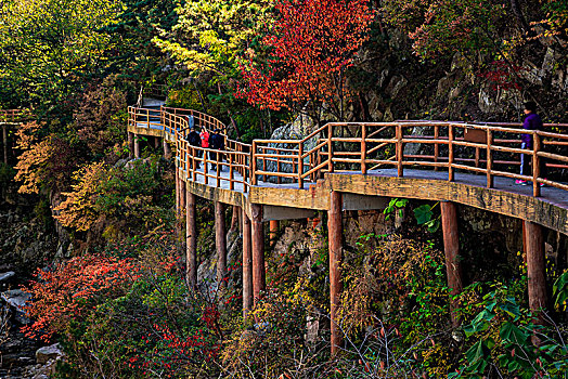 山高水长,秋水