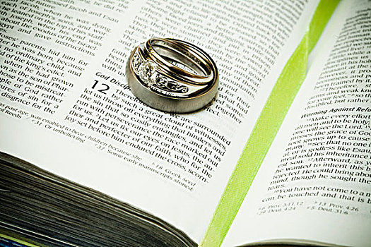 婚戒,书页,圣经,科罗拉多,美国