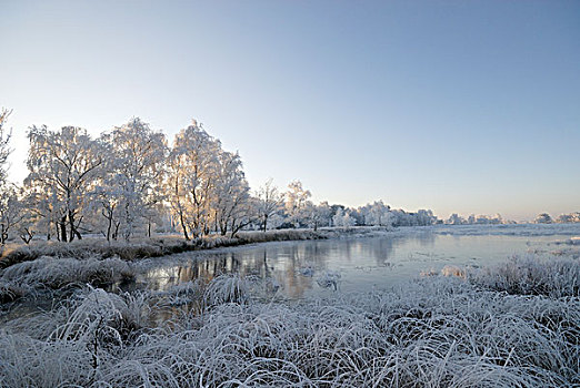 冬季风景,比利时