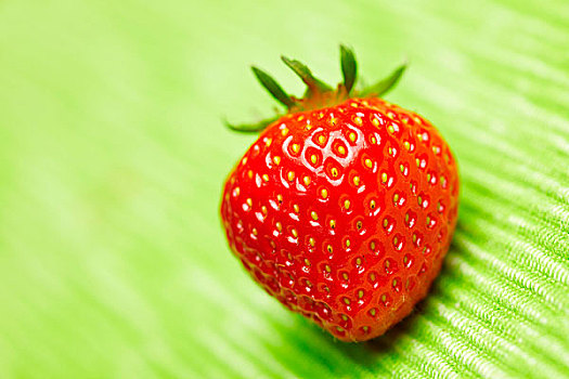 红色,新鲜,草莓,绿色背景