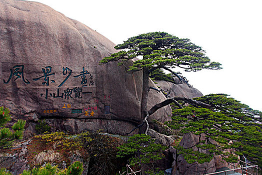 黄山,迎客松,壮观,名胜,风采,0012