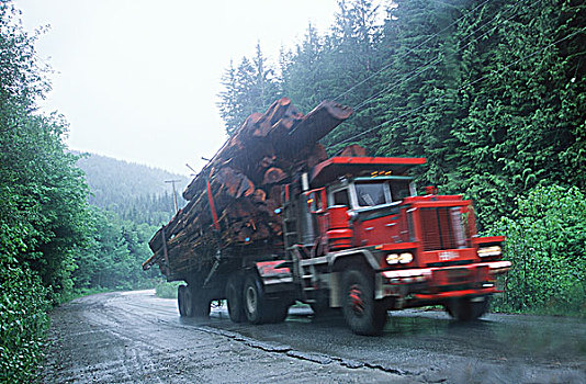 木材业,装载,伐木,卡车,雪松,原木,温哥华岛,不列颠哥伦比亚省,加拿大