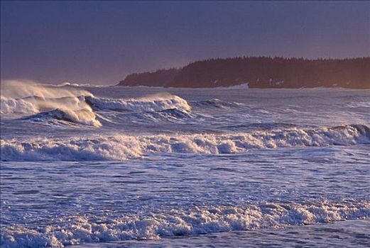 海浪,海滩,新斯科舍省,加拿大