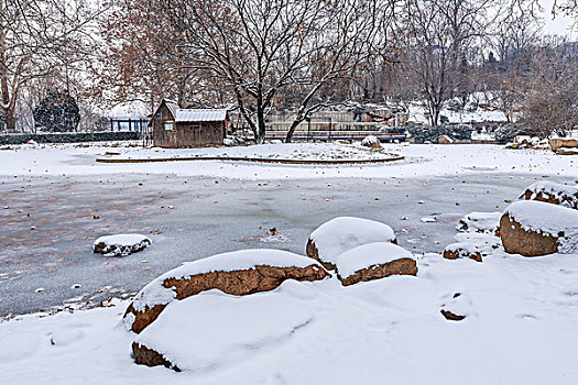 公园雪景