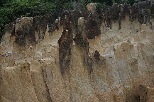 马来西亚沙捞越州的一处喀斯特地貌